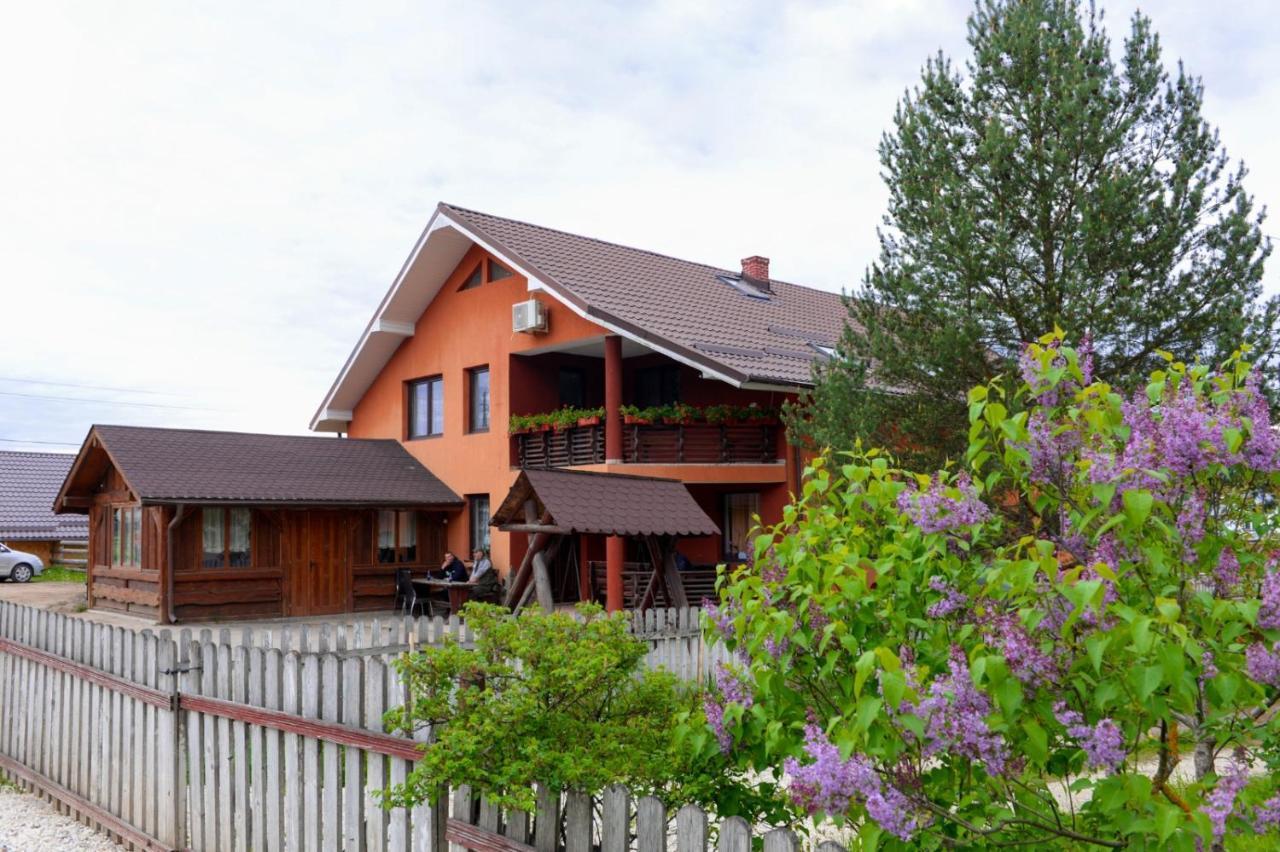 Hotel Casa Teo&Andreea Vatra Dornei Exterior foto